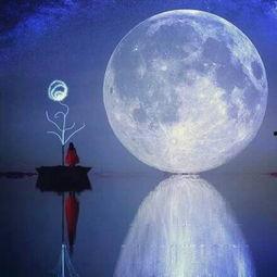 有月亮的图片,探寻夜空中的银色诗篇