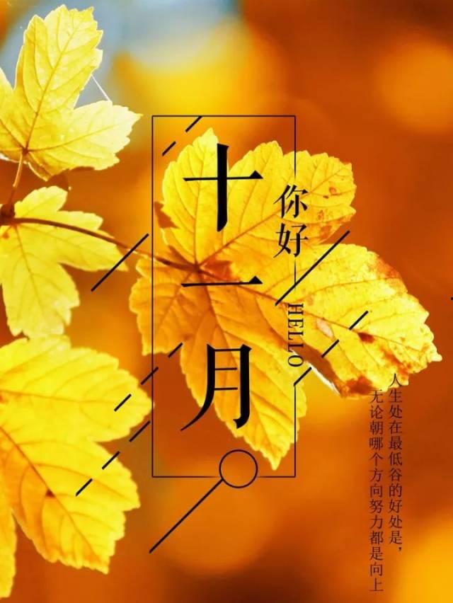 11月励志图片,勇往直前的力量